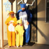 pokemon costumes