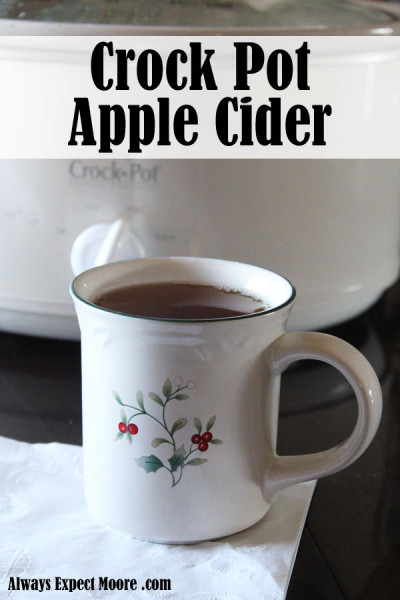 crock pot apple cider - takes just 4 ingredients, and 5 minutes of prep time