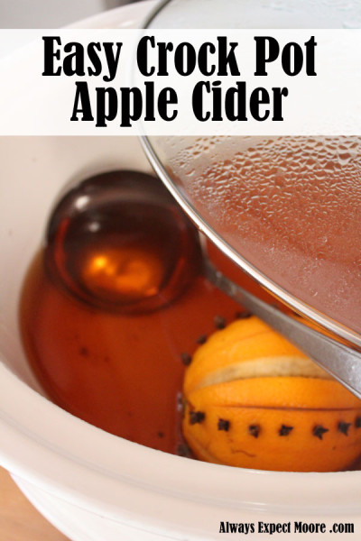 Make easy crock pot spiced apple cider - takes only 5 minutes of prep time, and 4 ingredients!