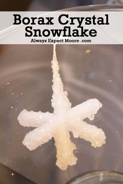 Borax Crystal Snowflake