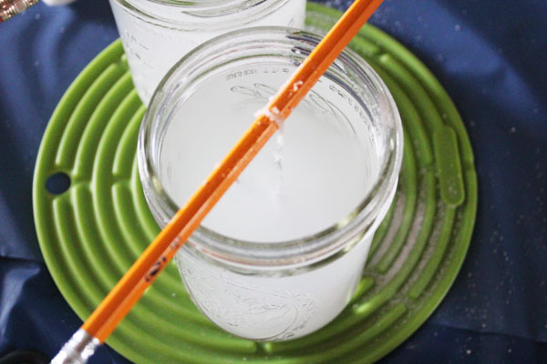 making borax crystals